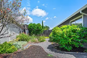 431 University St, Healdsburg, CA 95448 - Photo 16
