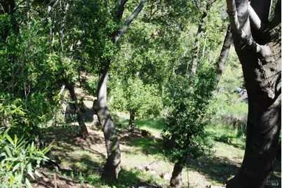 317 Coleman Drive, San Rafael, CA 94901 - Photo 4