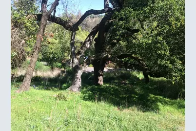 317 Coleman Drive, San Rafael, CA 94901 - Photo 10