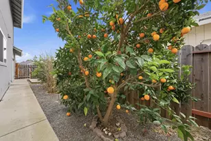 339 Aaron Cir, Vacaville, CA 95687 - Photo 46