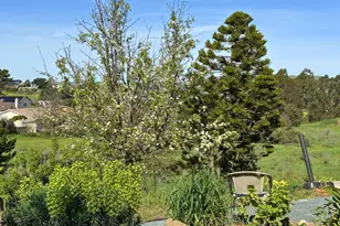 97 Carlisle Way, Benicia, CA 94510 - Photo 38