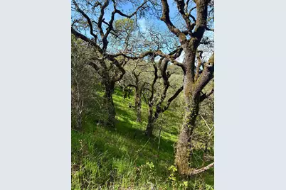 3494 Holland Drive, Santa Rosa, CA 95404 - Photo 4