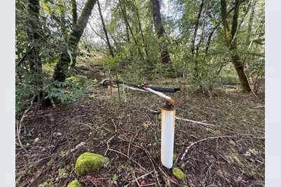 44050 Briggs Lane, Laytonville, CA 95454 - Photo 34