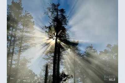 135 Larkspur Close, The Sea Ranch, CA 95497 - Photo 36