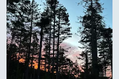 135 Larkspur Close, The Sea Ranch, CA 95497 - Photo 34