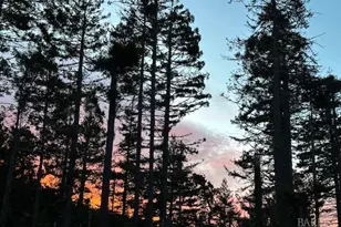 135 Larkspur Close, The Sea Ranch, CA 95497 - Photo 34