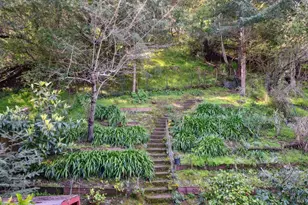 1851 Fifth Ave, San Rafael, CA 94901 - Photo 26