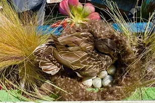 38 S 40 Dock, Sausalito, CA 94965 - Photo 52