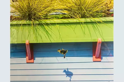 38 S. 40 Dock, Sausalito, CA 94965 - Photo 52