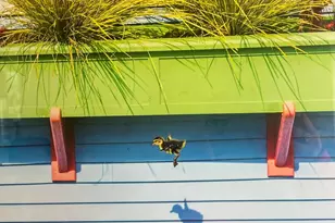 38 S 40 Dock, Sausalito, CA 94965 - Photo 52