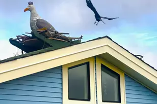 38 S 40 Dock, Sausalito, CA 94965 - Photo 44