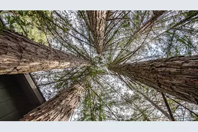 7456 Sir Francis Drake Boulevard, Lagunitas, CA 94938 - Photo 70