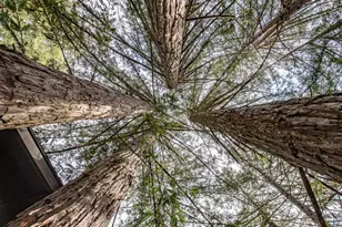 7456 Sir Francis Drake Blvd, Lagunitas, CA 94938 - Photo 70