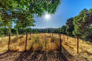 29 Forest Dr, Napa, CA 94558 - Photo 4