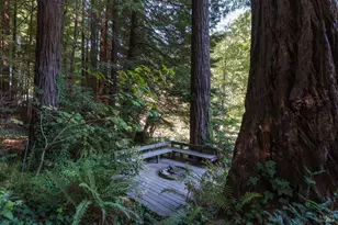 1050 Cazadero Hwy, Cazadero, CA 95421 - Photo 40