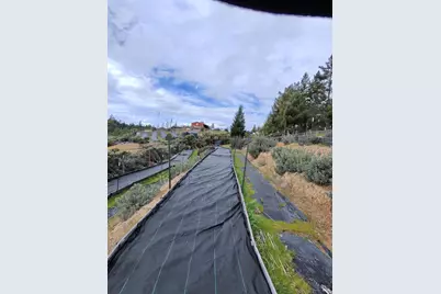 19450 Tomki Road, Redwood Valley, CA 95470 - Photo 22