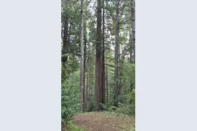 23606 Primrose Avenue, Willits, CA 95490 - Photo 22