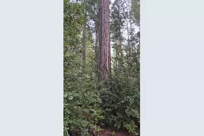 23606 Primrose Avenue, Willits, CA 95490 - Photo 20