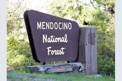 4311 Forest Hill Drive, Potter Valley, CA 95469 - Photo 38