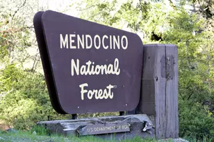 4311 Forest Hill Dr, Potter Valley, CA 95469 - Photo 38