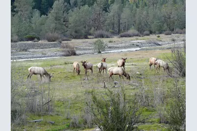 4311 Forest Hill Drive, Potter Valley, CA 95469 - Photo 36
