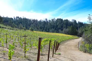 1755 Diamond Mountain Rd, Calistoga, CA 94515 - Photo 54