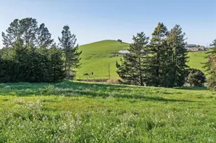 5855 Bodega Ave, Petaluma, CA 94952 - Photo 8