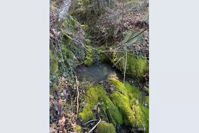 58921 George Washington Rock Road, Leggett, CA 95585 - Photo 6