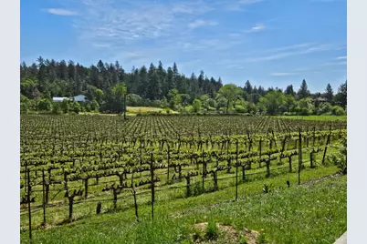 1275 Summit Lake Drive, Angwin, CA 94508 - Photo 74