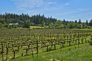 1275 Summit Lake Dr, Angwin, CA 94508 - Photo 74