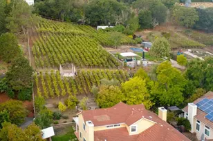 1125 Westview Dr, Napa, CA 94558 - Photo 36