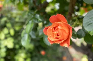 2431 Shoreline Dr, Napa, CA 94558 - Photo 46