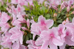 2431 Shoreline Dr, Napa, CA 94558 - Photo 48