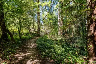 9935 Occidental Rd, Sebastopol, CA 95472 - Photo 40