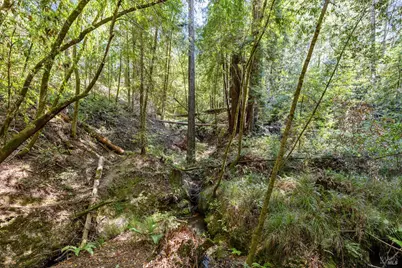 9935 Occidental Road, Sebastopol, CA 95472 - Photo 32