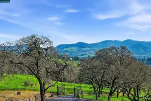 2087 First Ave, Napa, CA 94558 - Photo 2