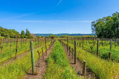 1626 Whitehall Lane, Saint Helena, CA 94574 - Photo 66