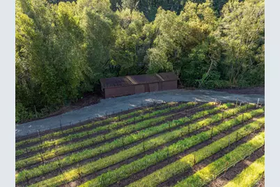 1626 Whitehall Lane, Saint Helena, CA 94574 - Photo 64