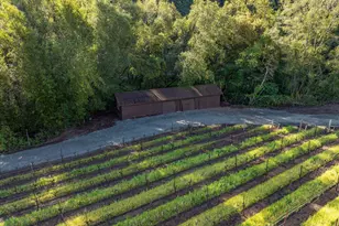 1626 Whitehall Ln, Saint Helena, CA 94574 - Photo 64