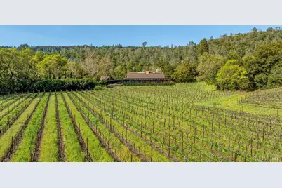 1626 Whitehall Lane, Saint Helena, CA 94574 - Photo 4