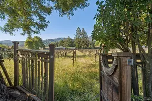 1143 Hudson Ave, Saint Helena, CA 94574 - Photo 28