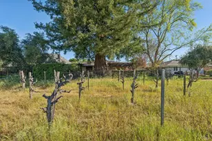 1143 Hudson Ave, Saint Helena, CA 94574 - Photo 30