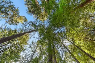 9 Huckleberry Heights, Cazadero, CA 95421 - Photo 36