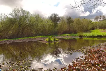 755 Watertrough Road, Sebastopol, CA 95472 - Photo 16