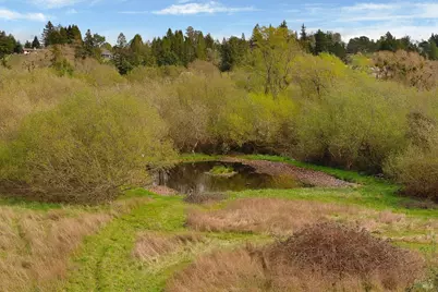 755 Watertrough Road, Sebastopol, CA 95472 - Photo 4