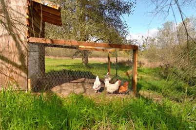 755 Watertrough Road, Sebastopol, CA 95472 - Photo 20