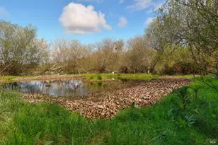 755 Watertrough Rd, Sebastopol, CA 95472 - Photo 14