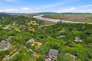 54 Manzanita Ave, Novato, CA 94945 - Photo 44