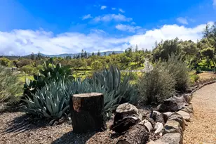 807 Deer Park Rd, Saint Helena, CA 94574 - Photo 36