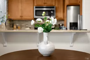 225 Burt St, Santa Rosa, CA 95407 - Photo 10